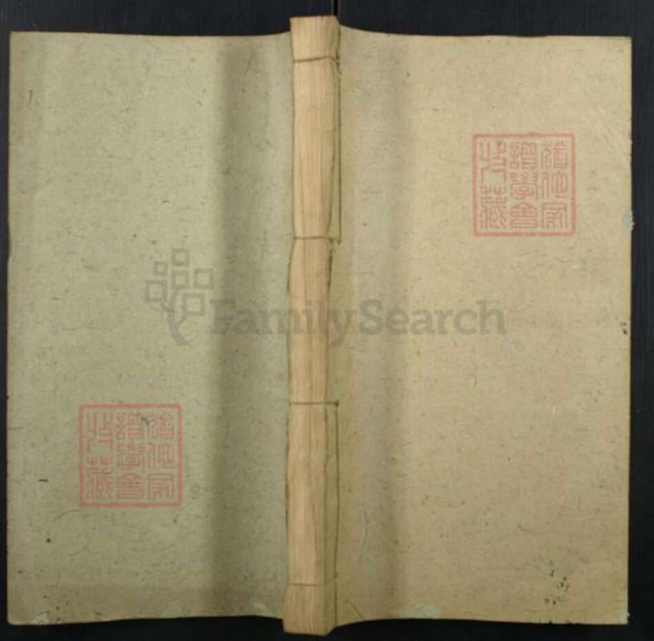 江西省萍乡市李氏族谱-萍袁李宪公支谱.pdf电子版缩略图