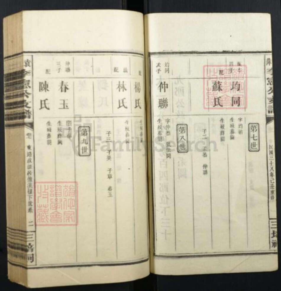 江西省萍乡市李氏族谱-萍袁李宪公支谱.pdf电子版预览图2