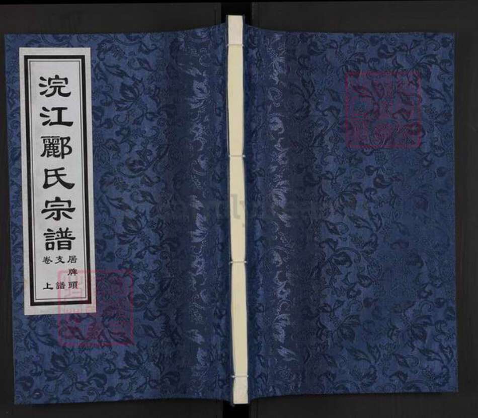 浙江省绍兴诸暨市牌头镇郦氏永思堂族谱-浣江郦氏宗谱.居牌头支谱.pdf电子版缩略图