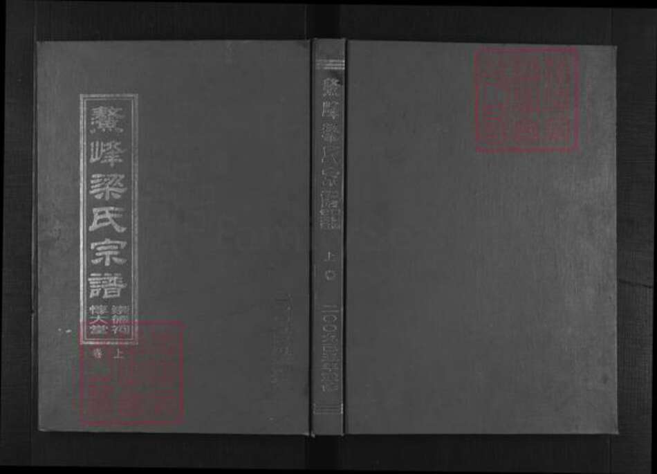 浙江省绍兴新昌县梁氏光裕堂族谱-鳌峰梁氏宗谱 [2卷].pdf电子版缩略图