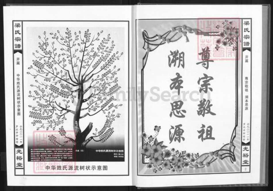 湖北省黄石市阳新县梁氏光裕堂族谱-梁氏宗谱.pdf电子版预览图2