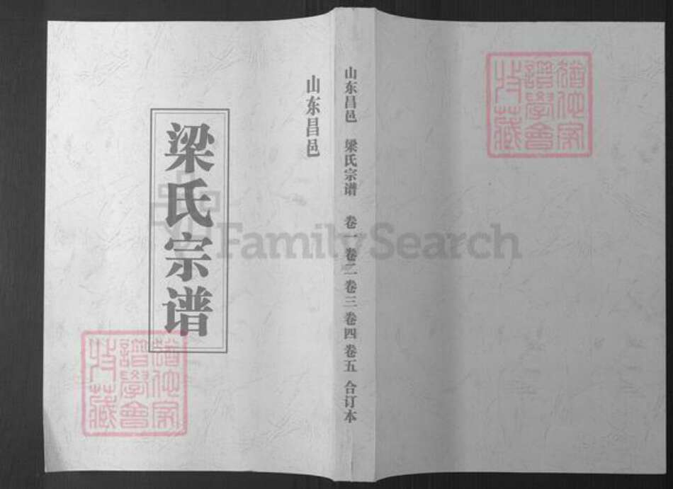 山东省潍坊市昌邑市梁氏族谱-昌邑梁氏宗谱.pdf电子版缩略图