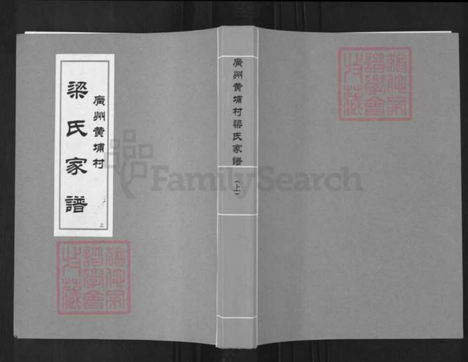 广东省广州市梁氏族谱-广州黄埔村梁氏家谱.pdf电子版缩略图