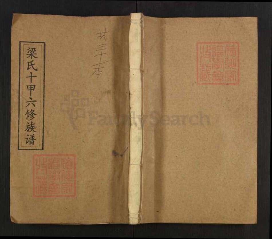 湖南省娄底市涟源市三甲乡梁氏安定堂族谱-梁氏十甲六修族谱.pdf电子版缩略图