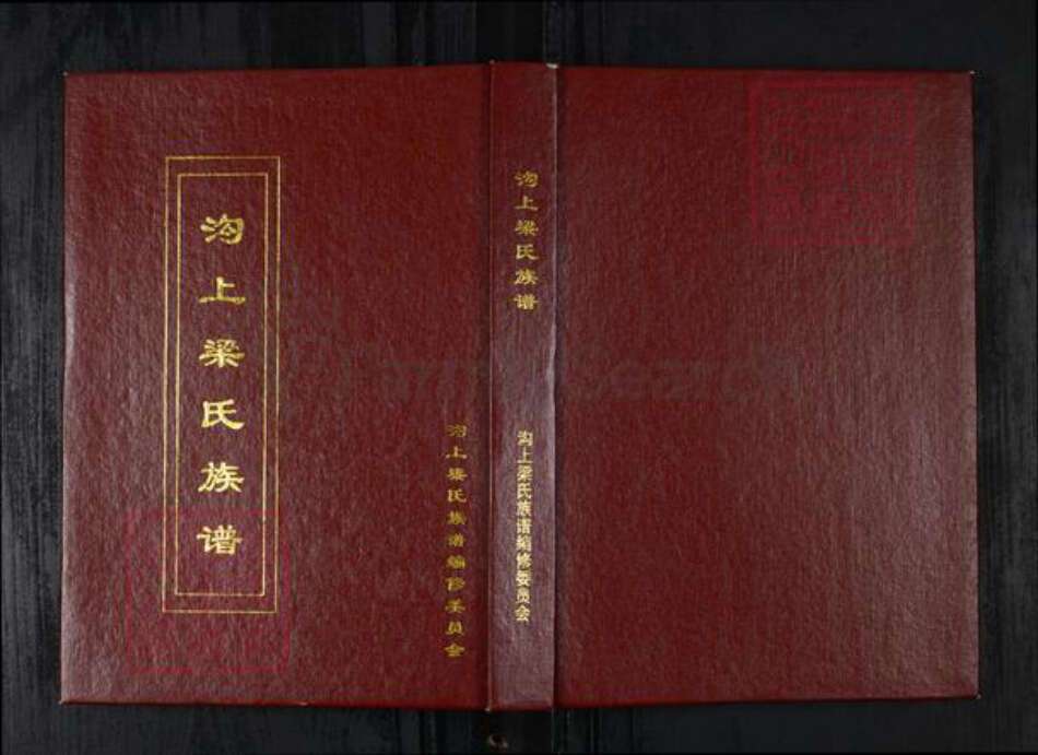 山东省烟台市招远市梁氏族谱-沟上梁氏族谱.pdf电子版缩略图