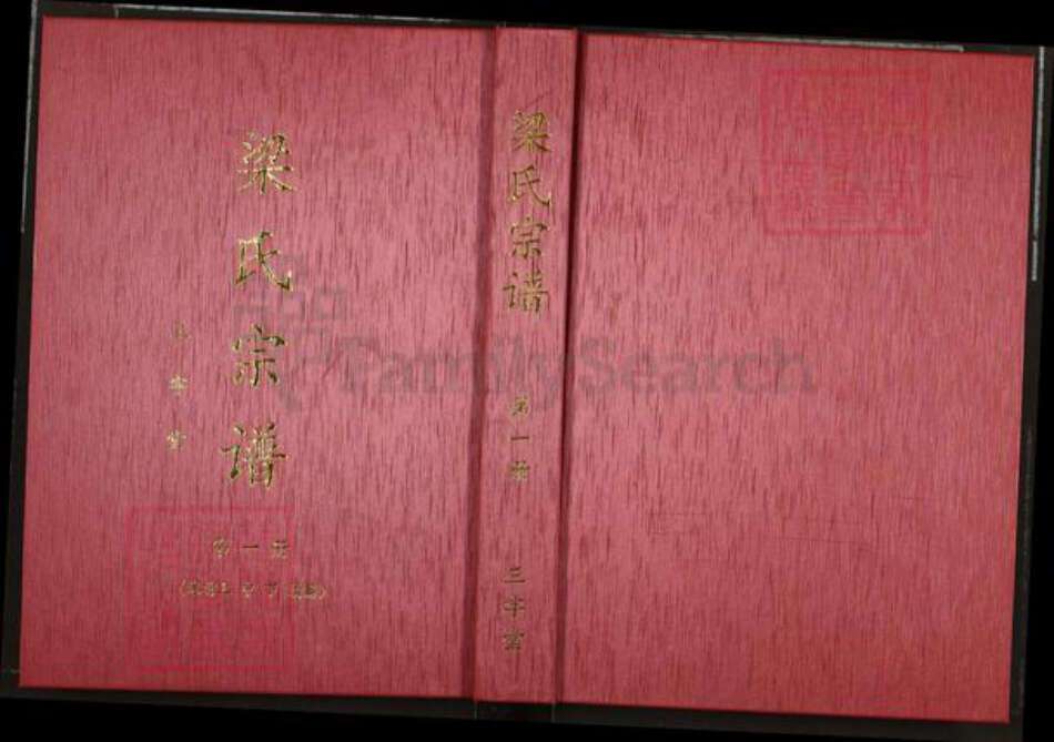 湖北省武汉市洪山区梁氏三字堂族谱-梁氏宗谱.pdf电子版缩略图