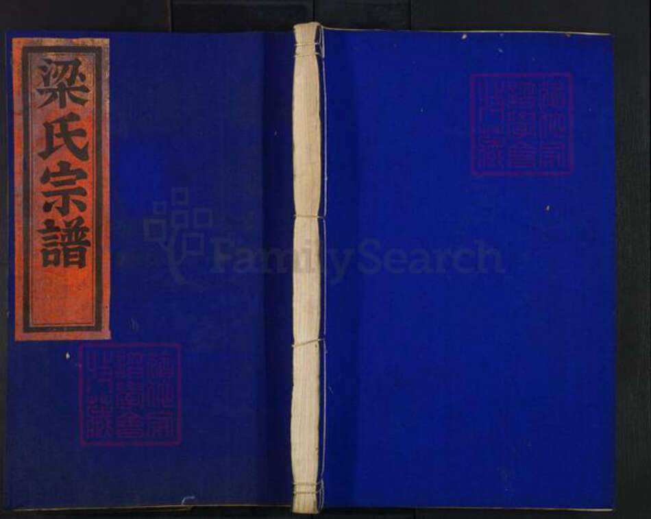 浙江省丽水市莲都区梁氏族谱-后商梁氏宗谱.pdf电子版缩略图