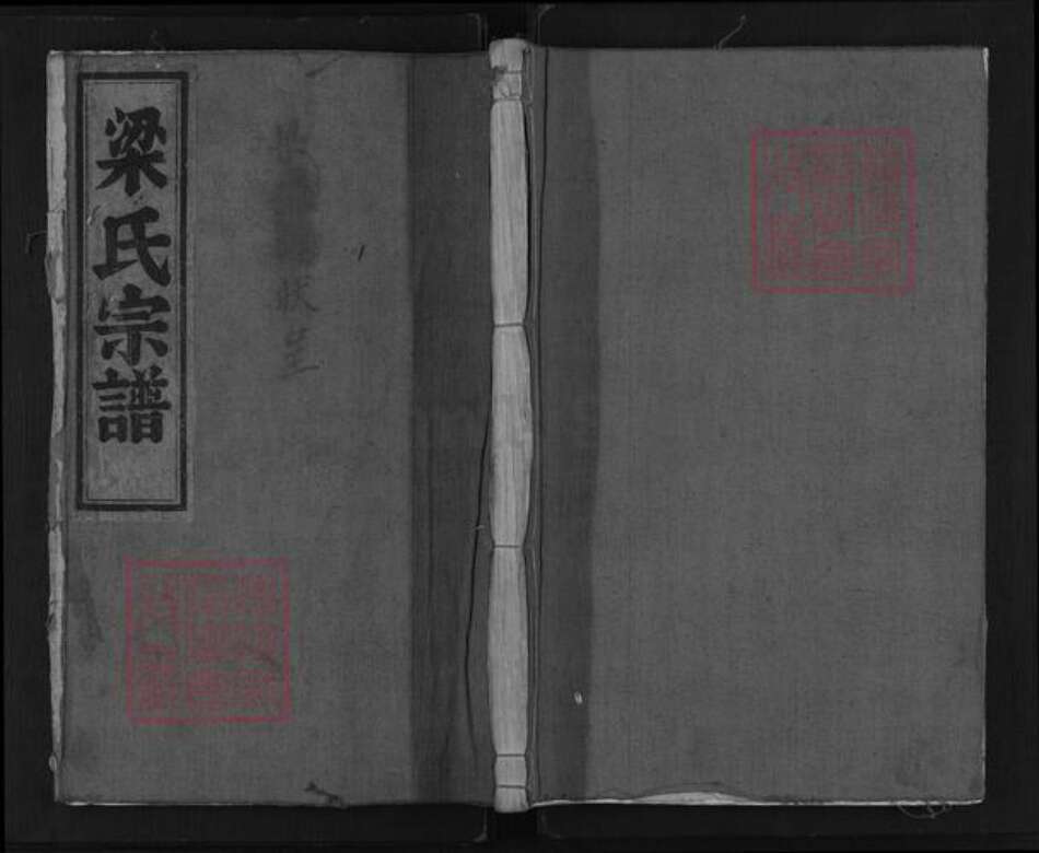 浙江省丽水市莲都区梁氏族谱-后商梁氏宗谱.pdf电子版缩略图