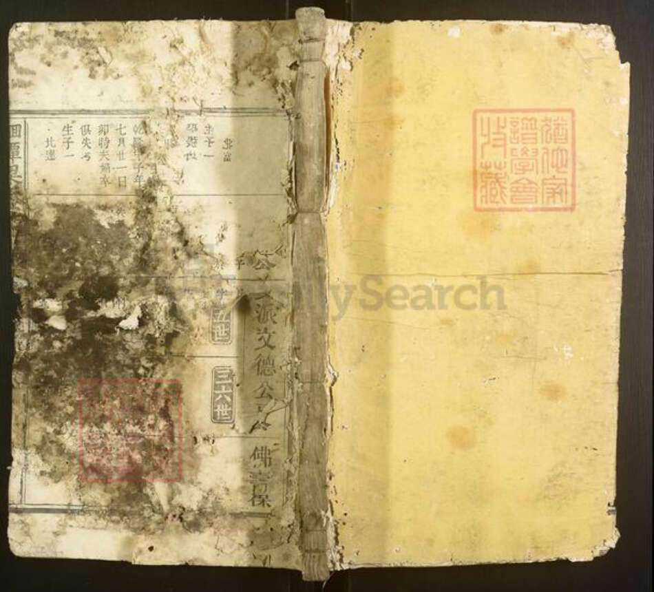 福建省南平市建阳区梁氏族谱-洄潭梁氏宗谱[不分卷].pdf电子版缩略图