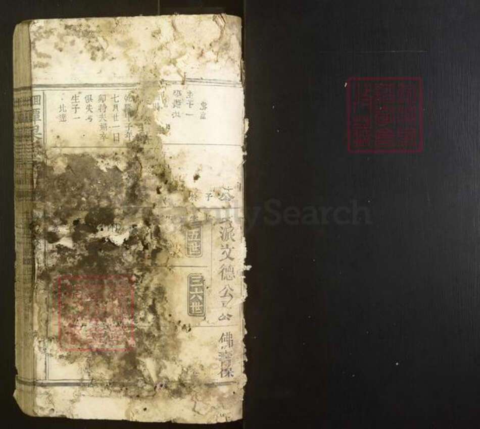 福建省南平市建阳区梁氏族谱-洄潭梁氏宗谱[不分卷].pdf电子版预览图1