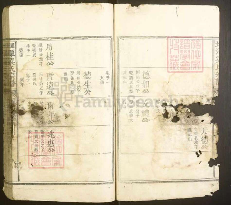 福建省南平市建阳区梁氏族谱-洄潭梁氏宗谱[不分卷].pdf电子版预览图2