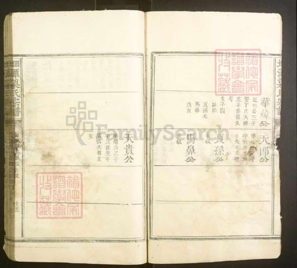 福建省南平市建阳区梁氏族谱-洄潭梁氏宗谱[不分卷].pdf电子版预览图5