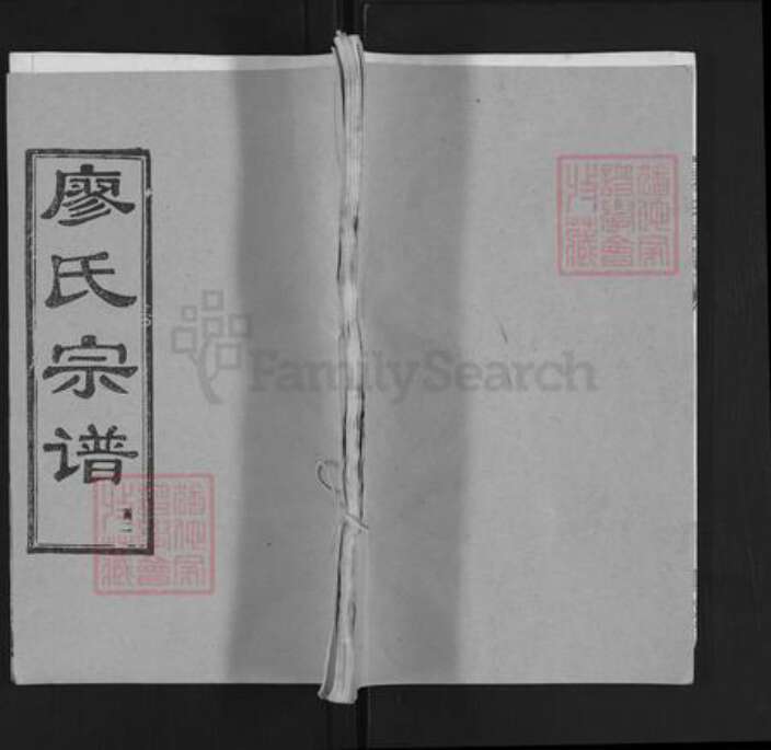 湖北省黄冈市红安县廖氏族谱-廖氏宗谱 [31卷,首4卷].pdf电子版缩略图