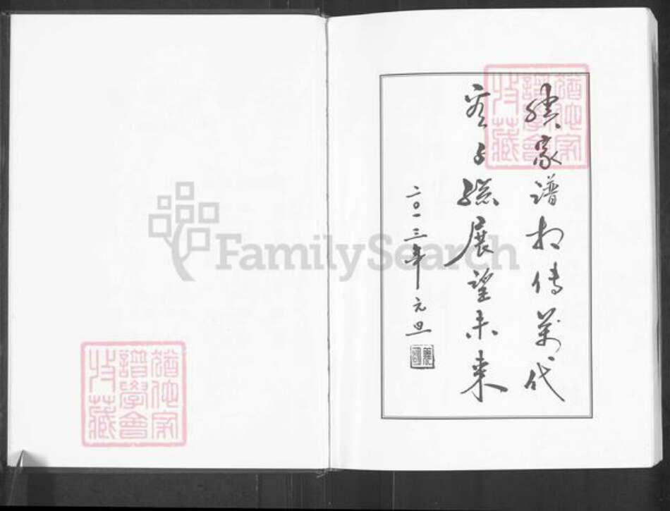 重庆市彭水苗族土家族自治县廖氏族谱-廖氏家谱.pdf电子版预览图2