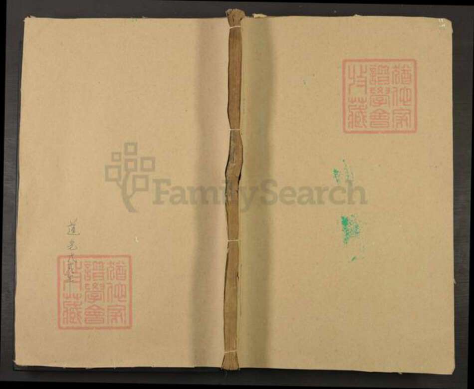 江苏省淮安市盱眙县盱城街道廖氏族谱-廖氏族谱.pdf电子版缩略图