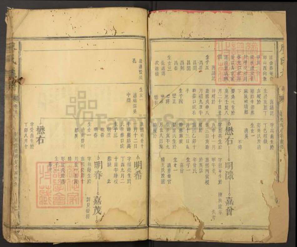 江苏省淮安市盱眙县盱城街道廖氏族谱-廖氏族谱.pdf电子版预览图2