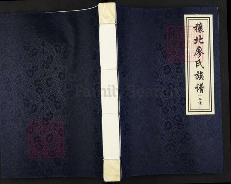 河南省南阳市镇平县廖氏族谱-穰北廖氏族谱.pdf电子版缩略图