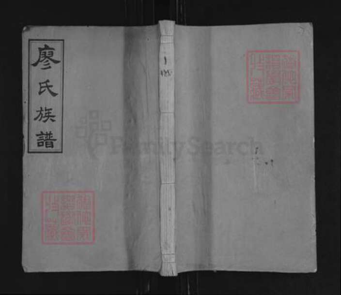 江西省宜春市袁州区廖氏世彩堂族谱-宜邑槎溪廖氏族谱.pdf电子版缩略图