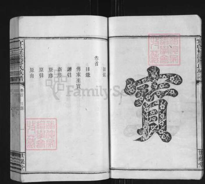 江西省宜春市袁州区廖氏世彩堂族谱-宜邑槎溪廖氏族谱.pdf电子版预览图3