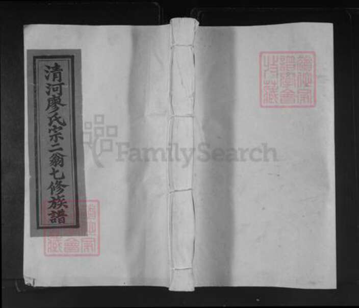 江西省赣州市宁都县洛口镇廖氏族谱-清河廖氏宗二翁七修族谱.pdf电子版缩略图