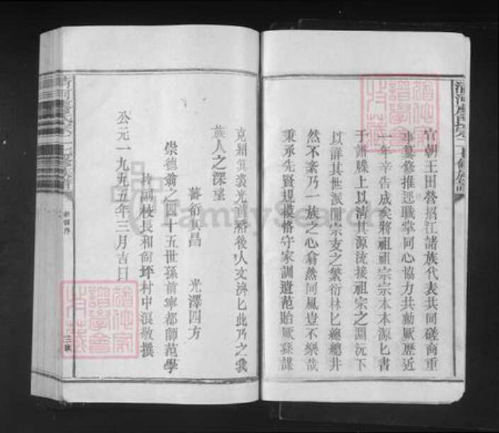 江西省赣州市宁都县洛口镇廖氏族谱-清河廖氏宗二翁七修族谱.pdf电子版预览图4