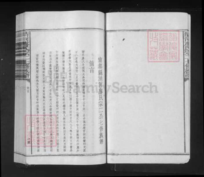 江西省赣州市宁都县洛口镇廖氏族谱-清河廖氏宗二翁七修族谱.pdf电子版预览图5