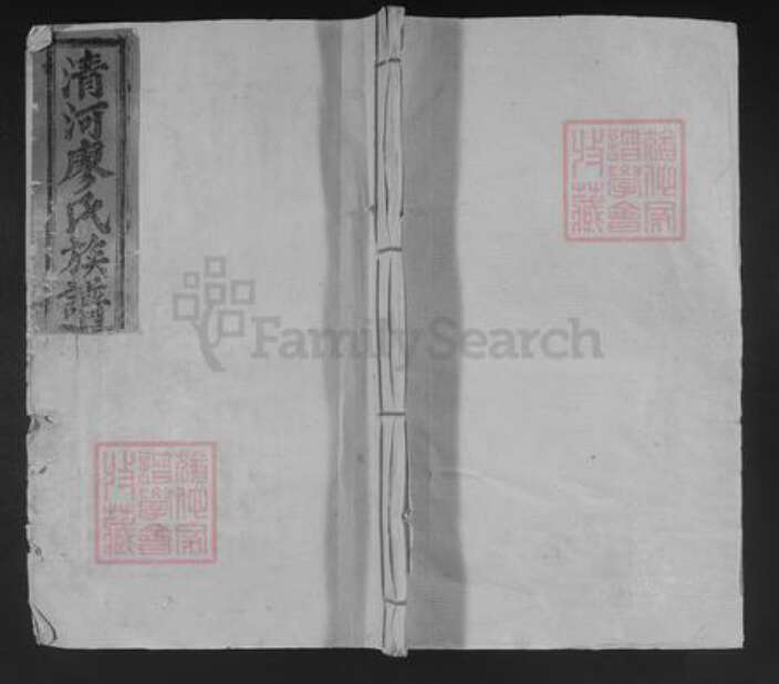 江西省赣州市兴国县梅加廖氏敦睦堂族谱-兴国三僚清河廖氏三修族谱.pdf电子版缩略图