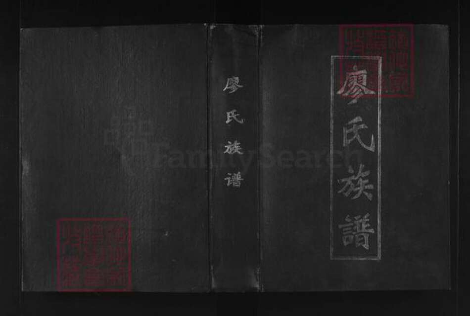 广东省韶关市南雄市廖氏世彩堂族谱-廖氏族谱.pdf电子版缩略图