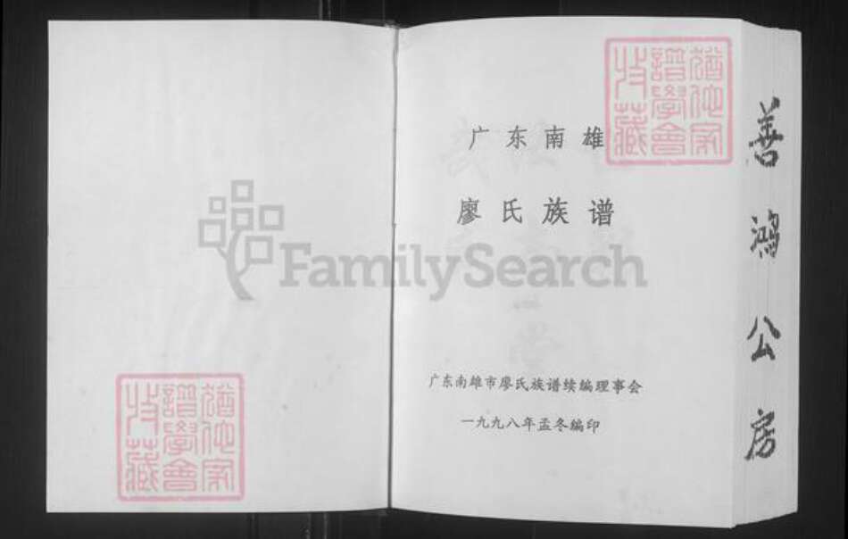 广东省韶关市南雄市廖氏世彩堂族谱-廖氏族谱.pdf电子版预览图1