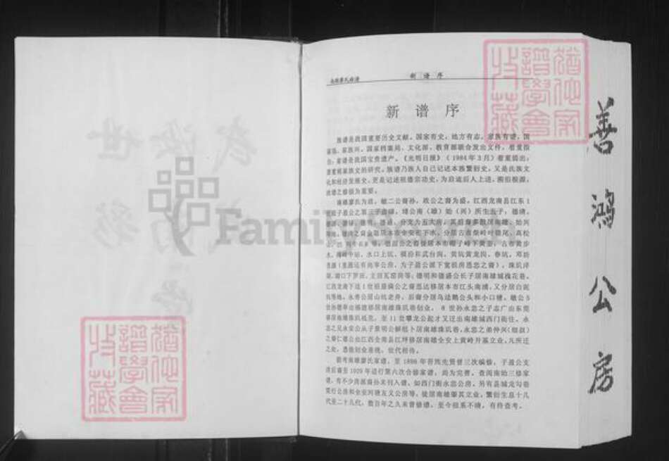 广东省韶关市南雄市廖氏世彩堂族谱-廖氏族谱.pdf电子版预览图3