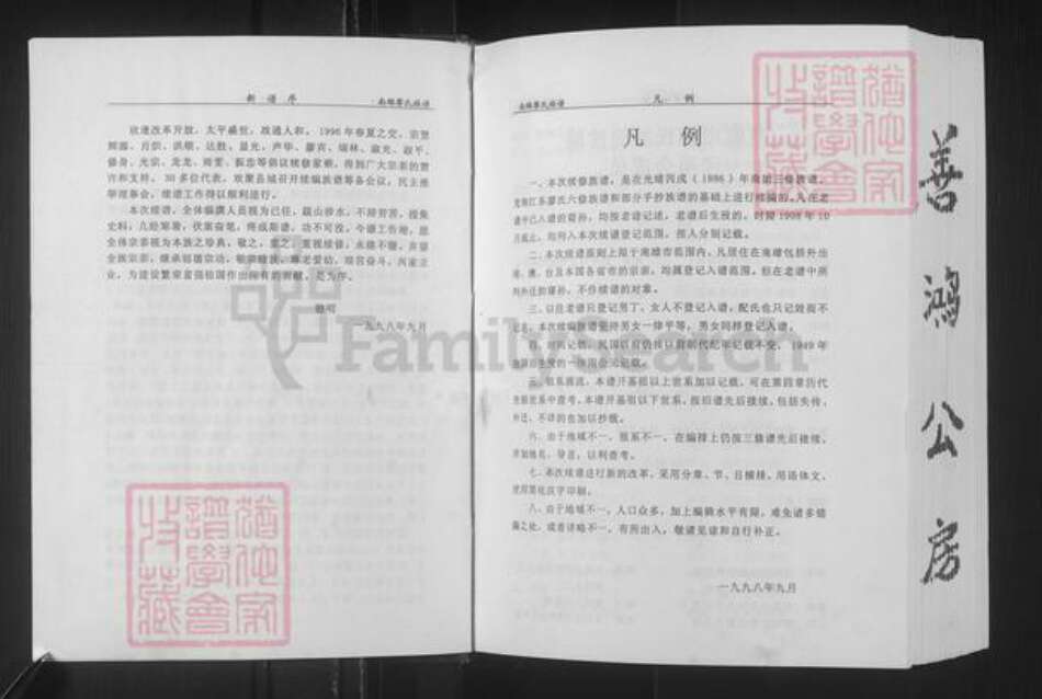 广东省韶关市南雄市廖氏世彩堂族谱-廖氏族谱.pdf电子版预览图4