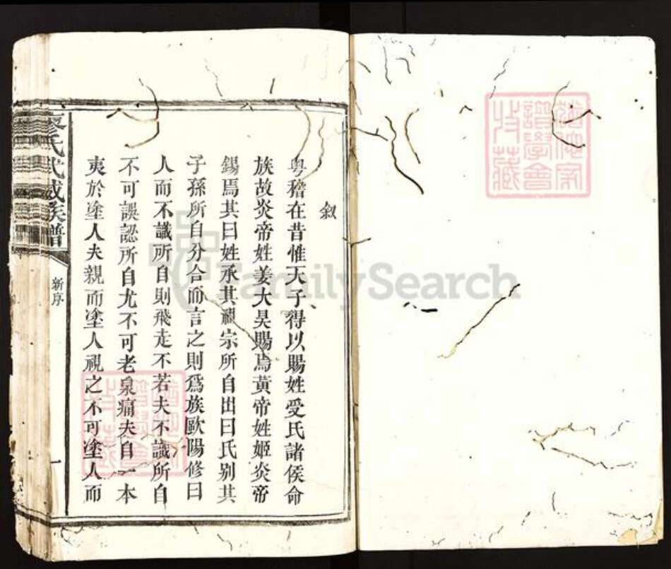 福建省南平市邵武市和平镇廖氏族谱-廖氏武威族谱.pdf电子版预览图1