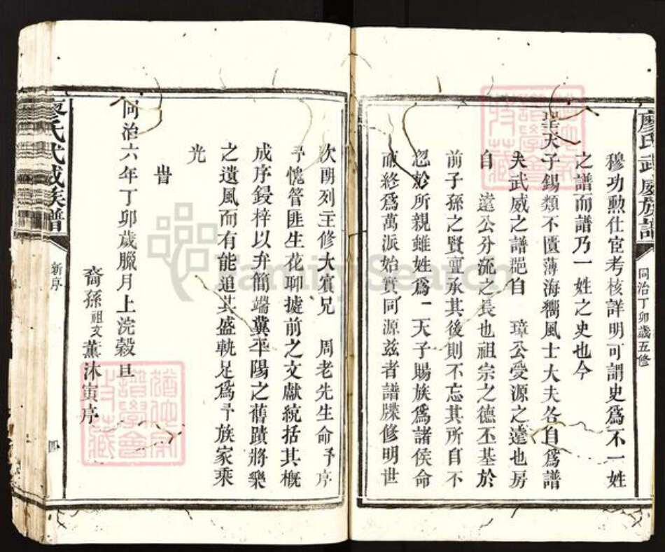 福建省南平市邵武市和平镇廖氏族谱-廖氏武威族谱.pdf电子版预览图4