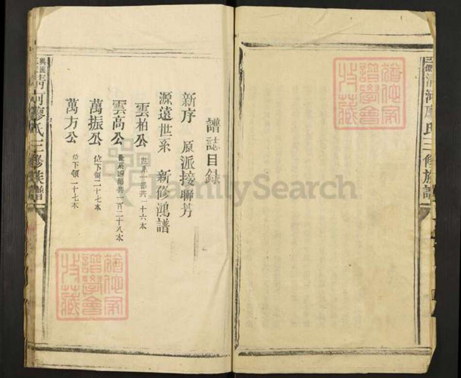 江西省赣州市兴国县梅加廖氏族谱-兴国三僚清河廖氏三修族谱.pdf电子版预览图4