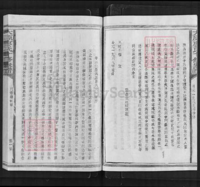 江西省抚州市广昌县廖氏族谱-太原廖氏十修家谱.pdf电子版预览图4