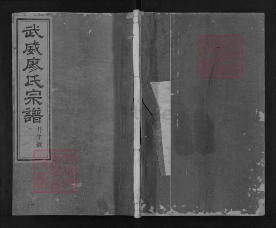 浙江省衢州开化县廖氏世彩堂族谱-武威廖氏宗谱.pdf电子版缩略图