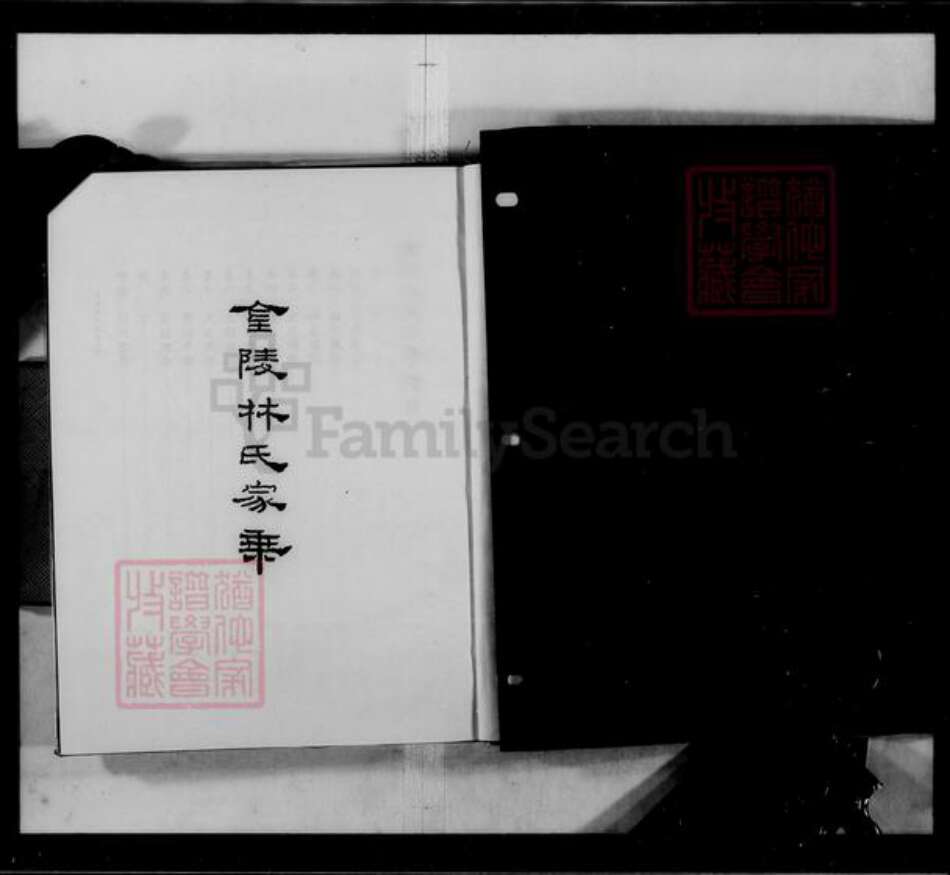 福建省莆田市林氏九牧堂族谱-金陵林氏家乘 [8卷,首末各1卷].pdf电子版预览图4