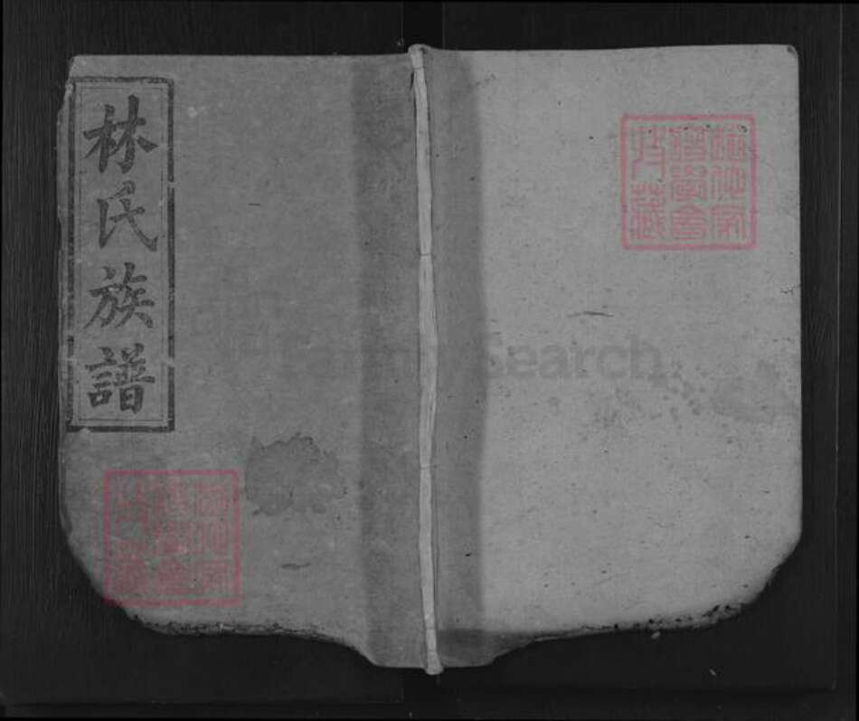 湖南省岳阳市平江县林氏西河堂族谱-平江林氏族谱.pdf电子版缩略图