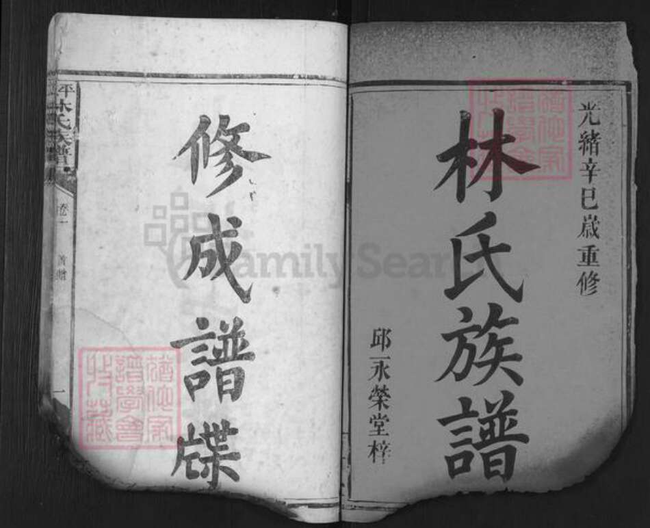 湖南省岳阳市平江县林氏西河堂族谱-平江林氏族谱.pdf电子版预览图1