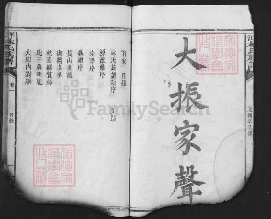 湖南省岳阳市平江县林氏西河堂族谱-平江林氏族谱.pdf电子版预览图2