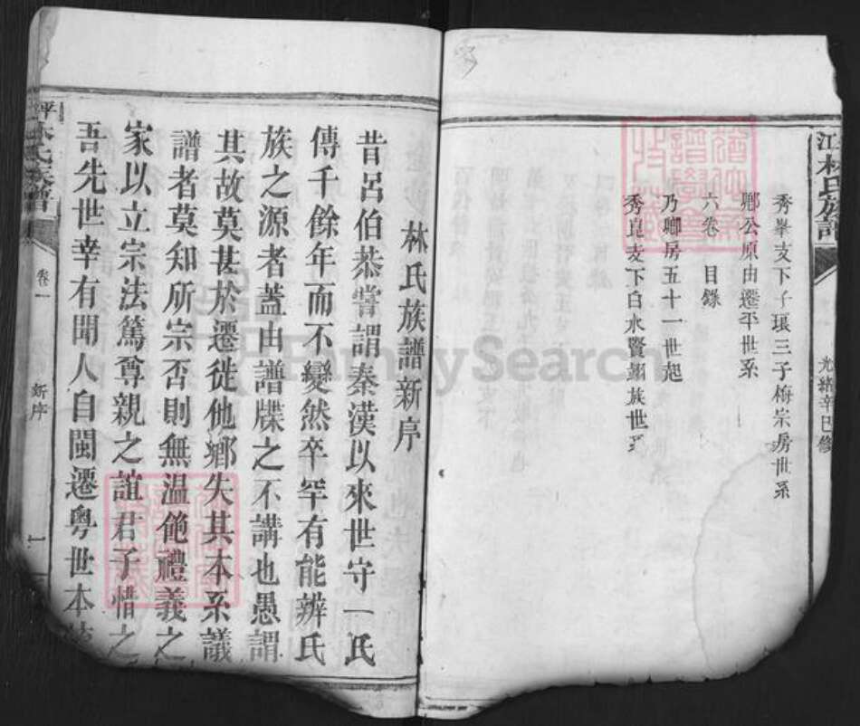 湖南省岳阳市平江县林氏西河堂族谱-平江林氏族谱.pdf电子版预览图5