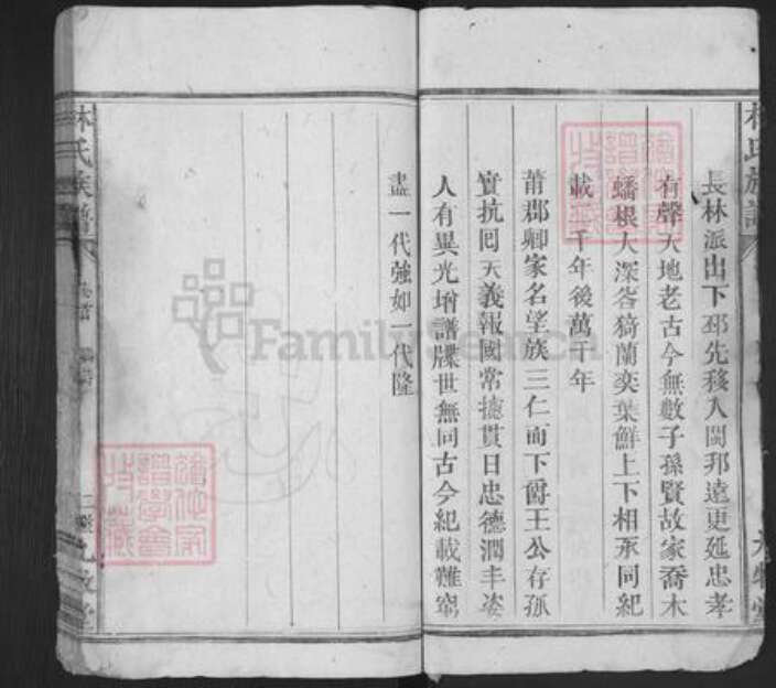 福建省莆田市荔城区林氏九牧堂族谱-杭川林氏族谱.pdf电子版预览图2