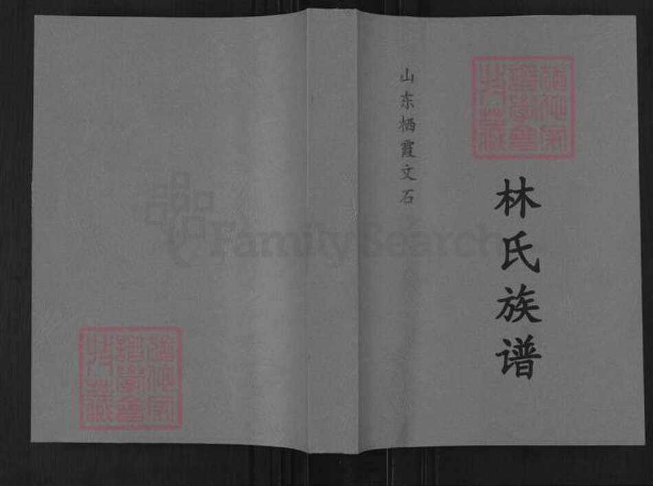 山东省烟台市栖霞市林氏族谱-山东栖霞文石林氏族谱.pdf电子版缩略图