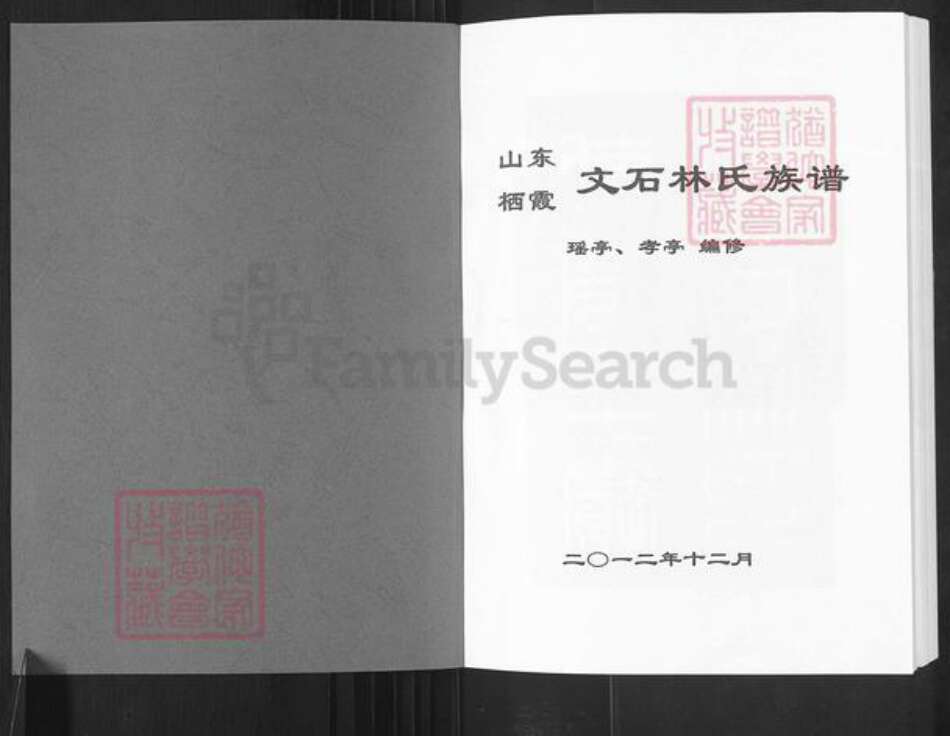 山东省烟台市栖霞市林氏族谱-山东栖霞文石林氏族谱.pdf电子版预览图1