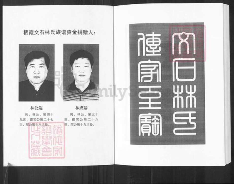 山东省烟台市栖霞市林氏族谱-山东栖霞文石林氏族谱.pdf电子版预览图2