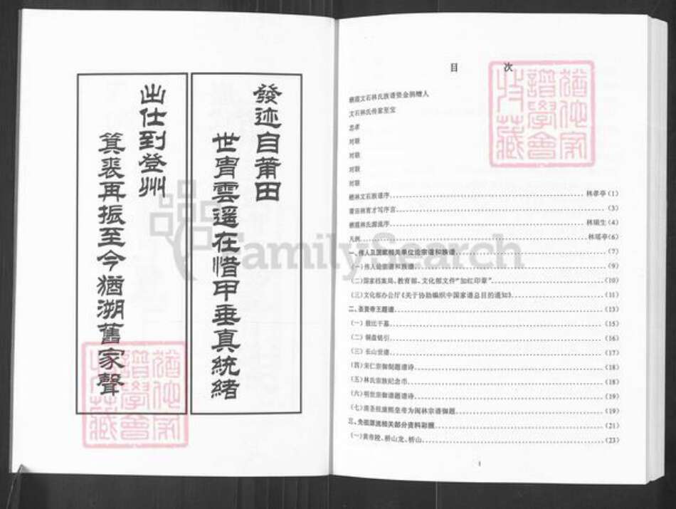 山东省烟台市栖霞市林氏族谱-山东栖霞文石林氏族谱.pdf电子版预览图5