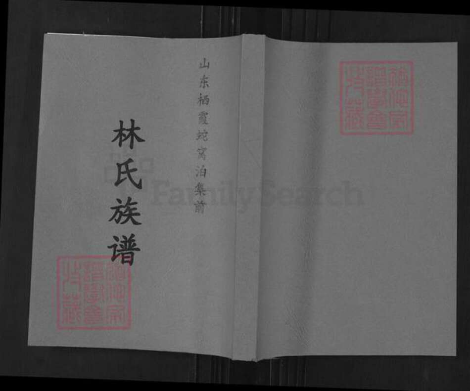 山东省烟台市栖霞市林氏族谱-山东栖霞蛇窝泊集前林氏族谱.pdf电子版缩略图