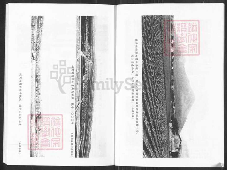 山东省烟台市栖霞市林氏族谱-山东栖霞蛇窝泊集前林氏族谱.pdf电子版预览图4