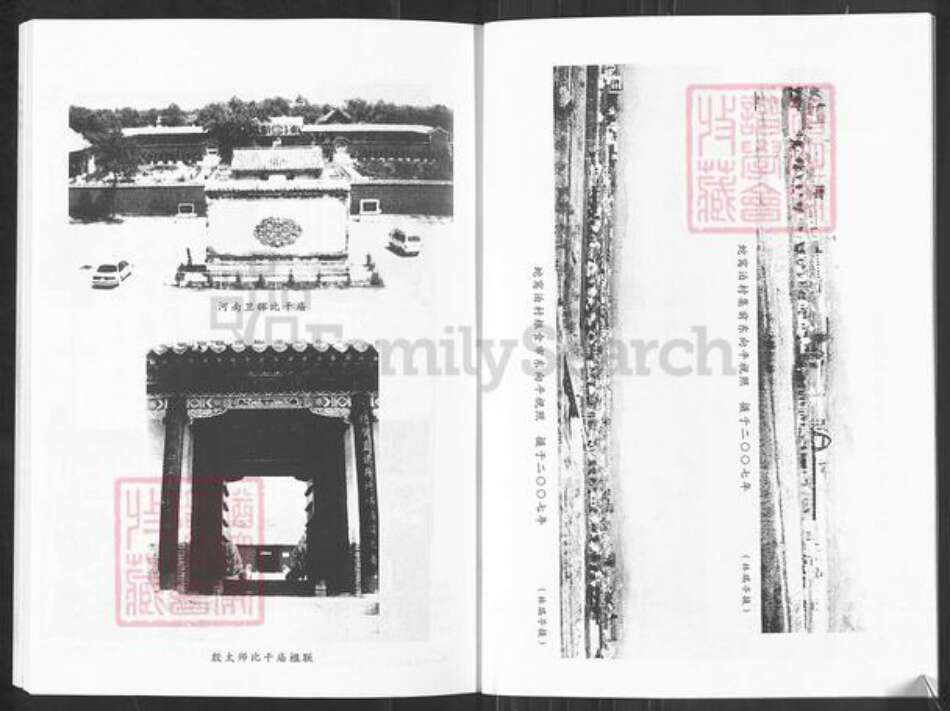 山东省烟台市栖霞市林氏族谱-山东栖霞蛇窝泊集前林氏族谱.pdf电子版预览图5