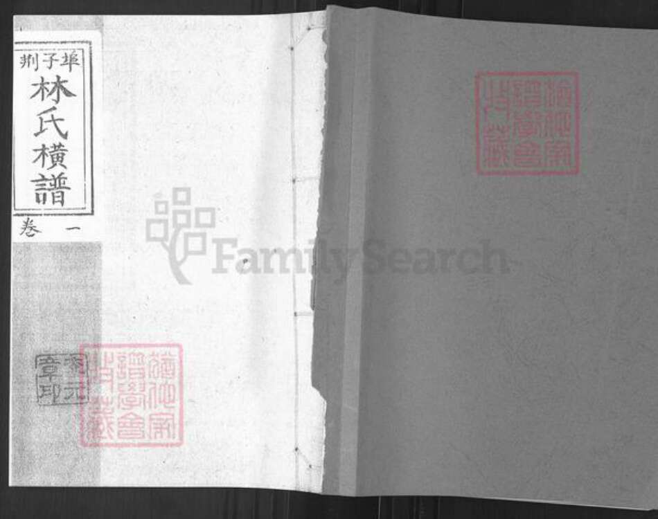 山东省烟台市栖霞市桃村镇林氏族谱-荆子端口林氏横谱.pdf电子版缩略图